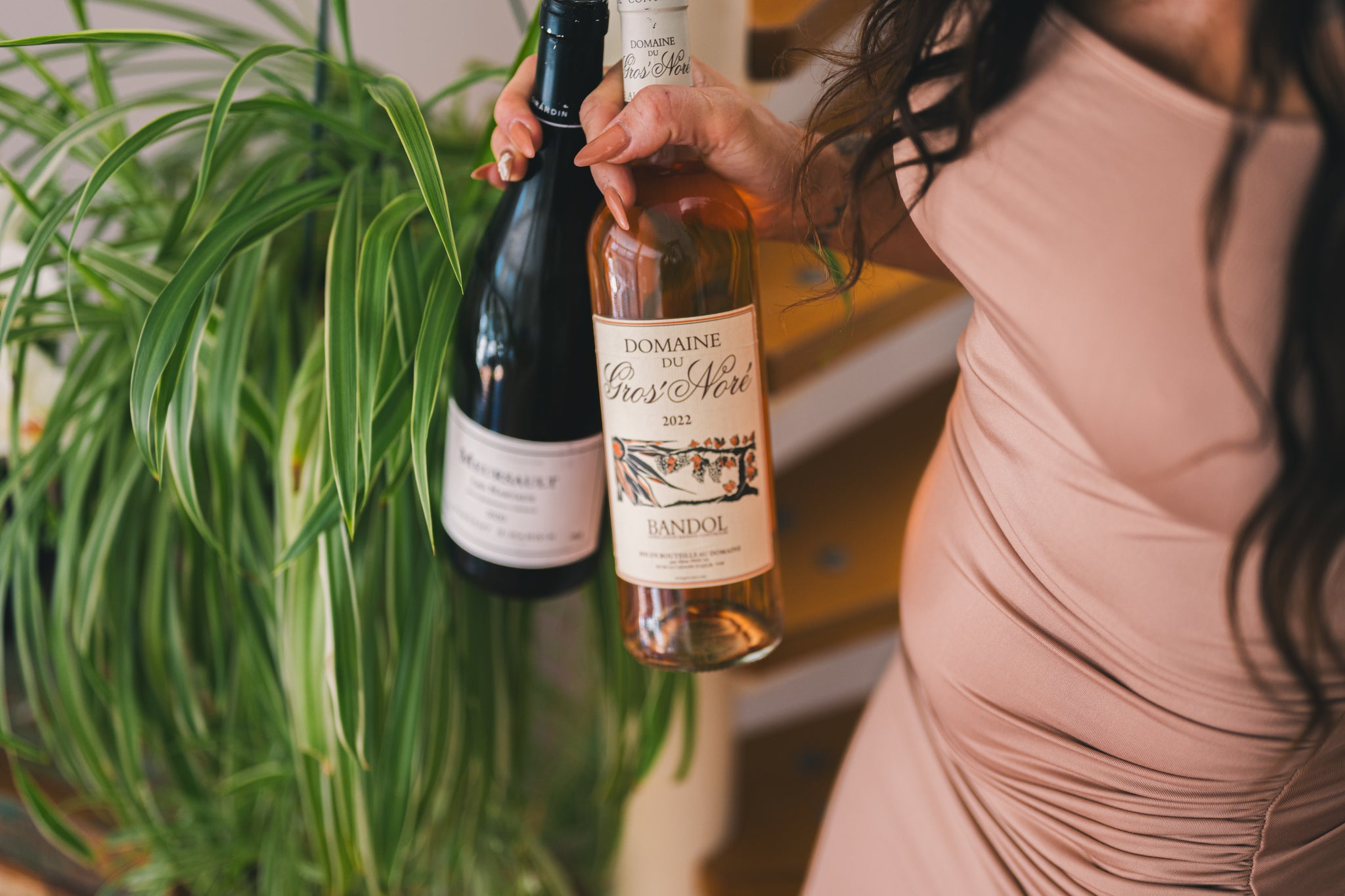 French Wines