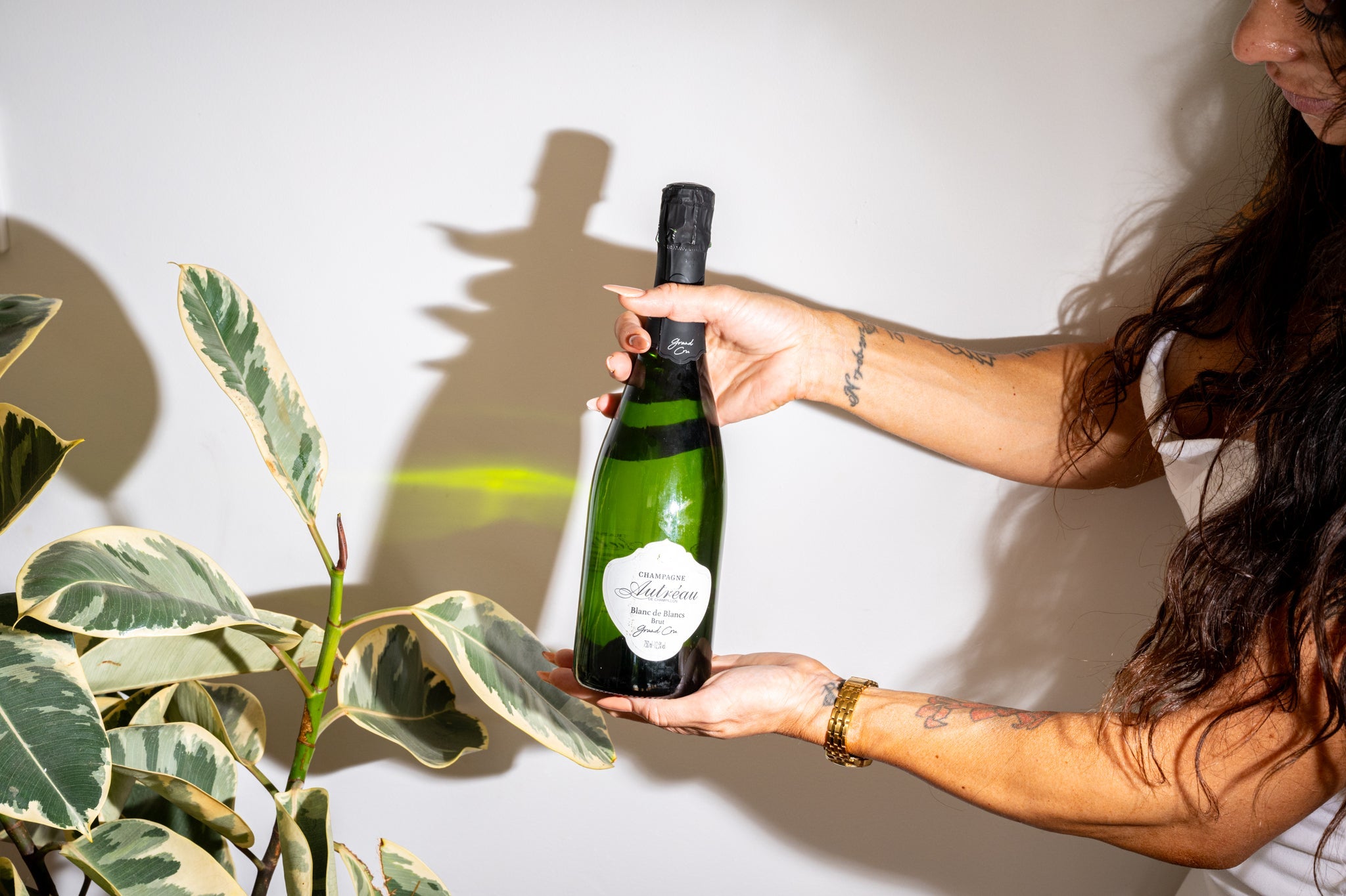 Champagne & Sparkling Wine
