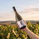 Domaine Marcel Couturier Bourgogne Blanc, 2023, AOC