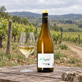 Domaine Depardon Alexis Beaujolais Blanc Chardonnay 2024
