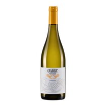 tenuta mazzolino camara chardonnay 2024
