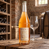 Paltrinieri Radice Lambrusco di Sobrara DOC 2022