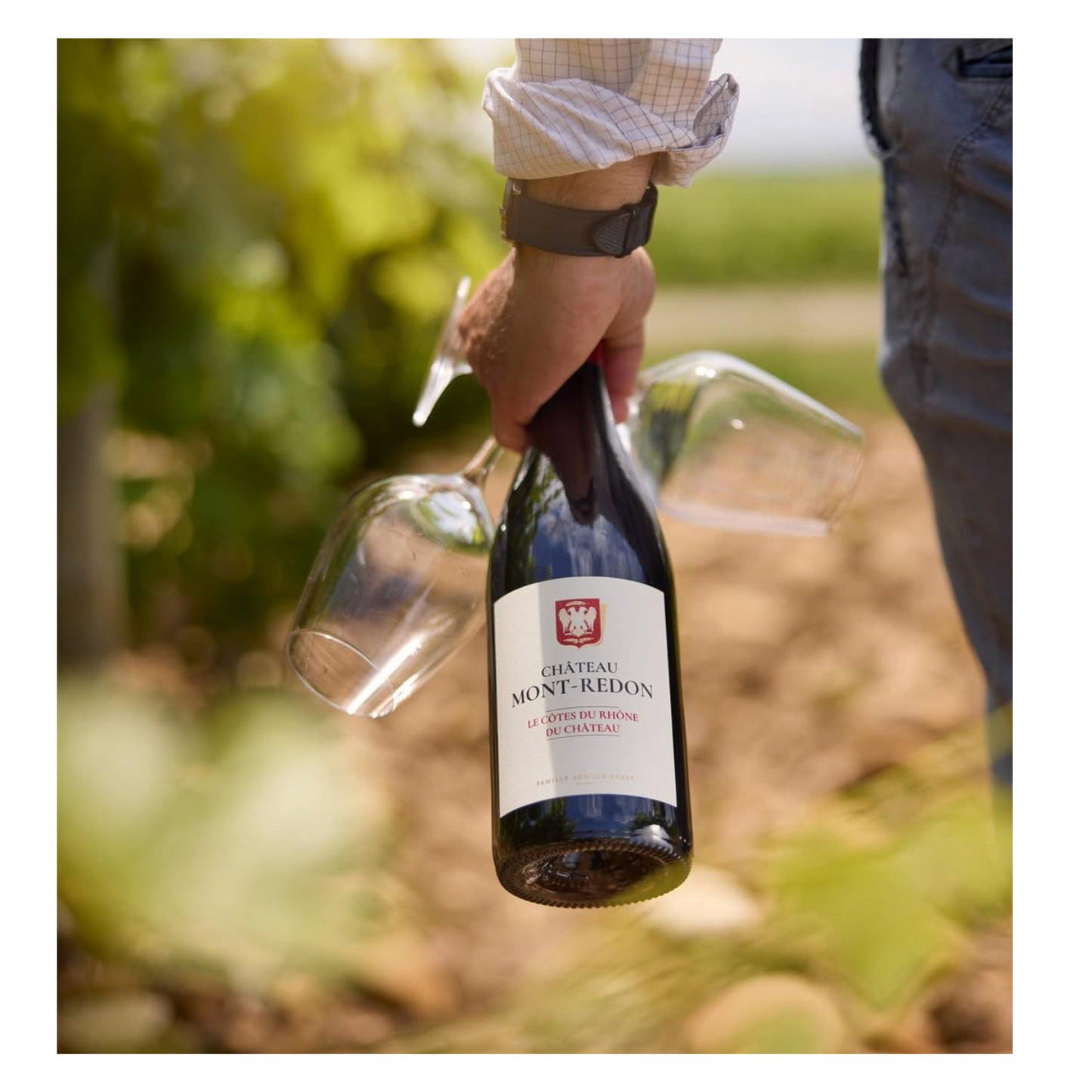 2022 Chateau Mont Redon, Cotes du Rhone, Earthy Rhône Red with French Soul