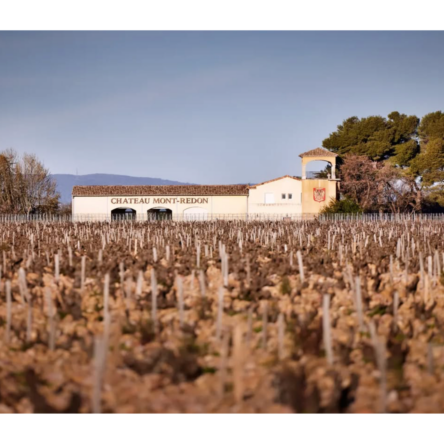 2022 Chateau Mont Redon, Cotes du Rhone, Earthy Rhône Red with French Soul